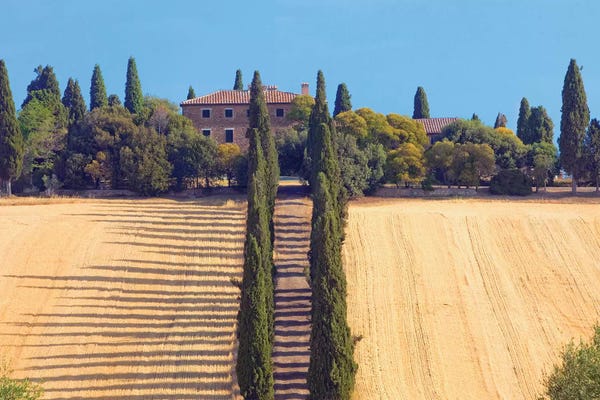 Cypress Trees: Countryside Landscape II, Tuscany Region, Italy by Panoramic Images