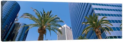 Low Angle View Of Downtown Office District, Los Angeles, California, USA Canvas Art Print - Palm Tree Art