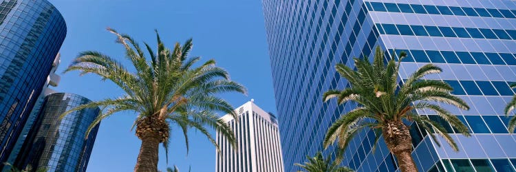 Low Angle View Of Downtown Office District, Los Angeles, California, USA