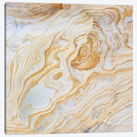 Sandstone Swirl Pattern I, Grand Staircase-Escalante National Monument, Utah, USA Canvas Print #PIM14224} by Panoramic Images Canvas Wall Art