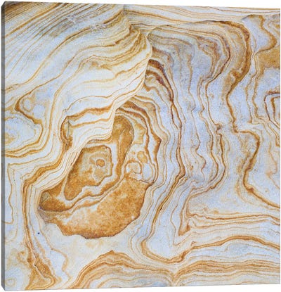 Sandstone Swirl Pattern II, Grand Staircase-Escalante National Monument, Utah, USA Canvas Art Print - Utah Art