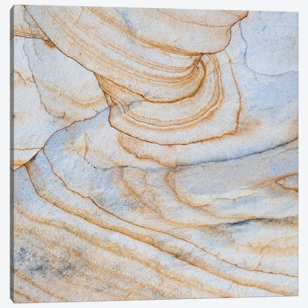 Sandstone Swirl Pattern III, Grand Staircase-Escalante National Monument, Utah, USA Canvas Print #PIM14226} by Panoramic Images Canvas Artwork
