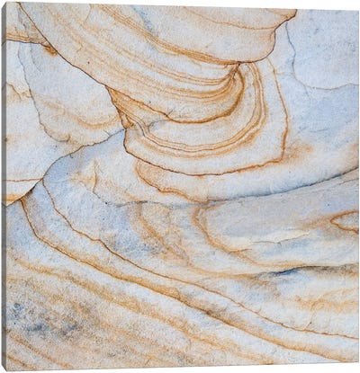 Sandstone Swirl Pattern III, Grand Staircase-Escalante National Monument, Utah, USA Canvas Art Print - Utah Art