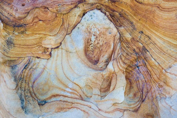 Utah: Sandstone Swirl Pattern IV, Grand Staircase-Escalante National Monument, Utah, USA by Panoramic Images