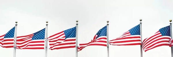 American Décor: American Flags by Panoramic Images