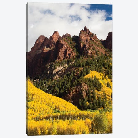 Autumn Trees On Mountain, Maroon Bells, Maroon Creek Valley, Aspen, Pitkin County, Colorado, USA I Canvas Print #PIM14269} by Panoramic Images Art Print