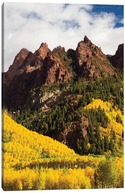 Autumn Trees On Mountain, Maroon Bells, Maroon Creek Valley, Aspen, Pitkin County, Colorado, USA I Canvas Art Print - Aspen Tree Art