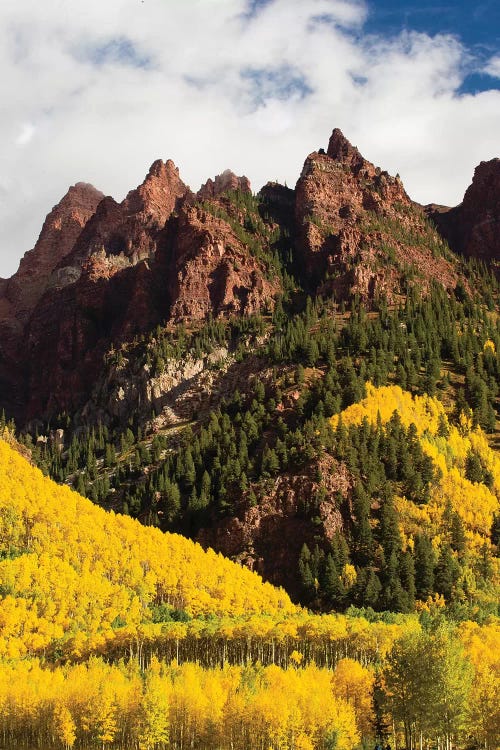 Autumn Trees On Mountain, Maroon Bells, Maroon Creek Valley, Aspen, Pitkin County, Colorado, USA I by Panoramic Images wall art