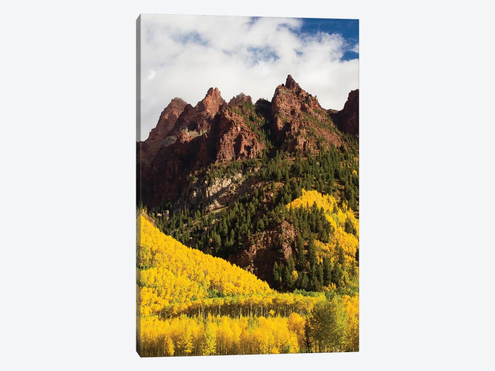 Autumn Trees On Mountain, Maroon Bells, Maroon Creek Valley, Aspen, Pitkin County, Colorado, USA I by Panoramic Images 1-piece Canvas Wall Art