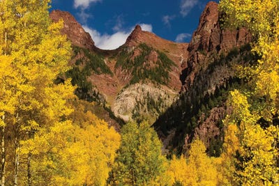 Autumn Trees On Mountain II, Maroon Bells, Maroon Creek Valley, Aspen, Pitkin County, Colorado, USA by Panoramic Images art print