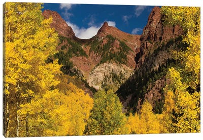 Autumn Trees On Mountain, Maroon Bells, Maroon Creek Valley, Aspen, Pitkin County, Colorado, USA II Canvas Art Print - Colorado Art