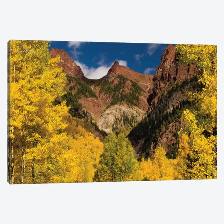 Autumn Trees On Mountain, Maroon Bells, Maroon Creek Valley, Aspen, Pitkin County, Colorado, USA II Canvas Print #PIM14270} by Panoramic Images Canvas Wall Art