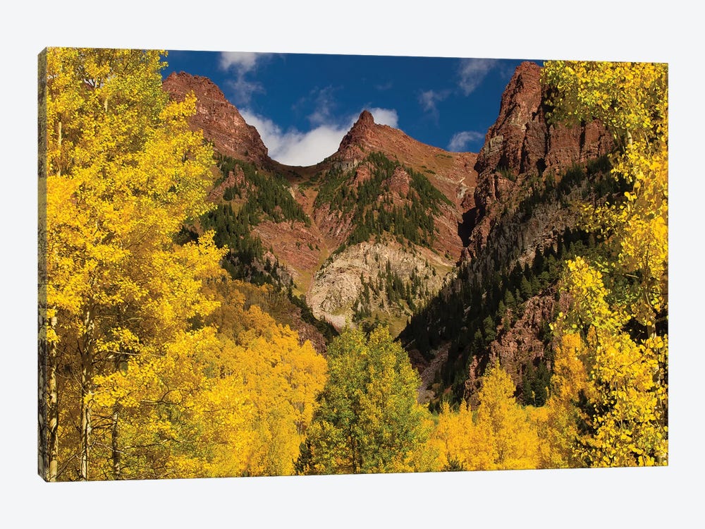 Autumn Trees On Mountain, Maroon Bells, Maroon Creek Valley, Aspen, Pitkin County, Colorado, USA II by Panoramic Images 1-piece Canvas Wall Art