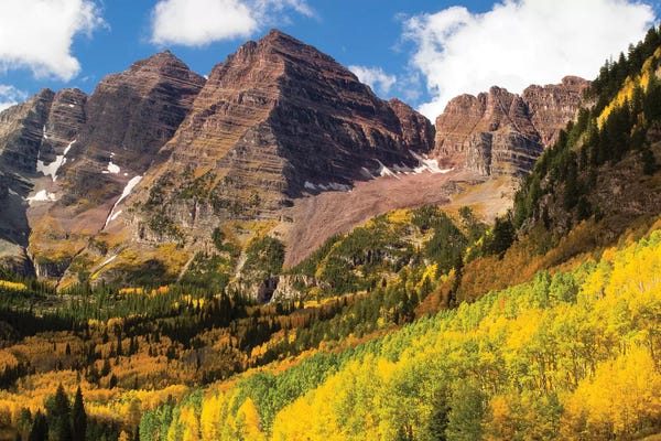 Autumn Trees On Mountain III, Maroon Bells, Maroon Creek Valley, Aspen, Pitkin County, Colorado, USA