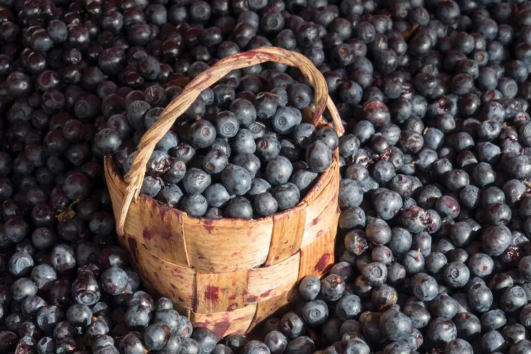 Blueberries At Market For Sale, Helsinki, Finland