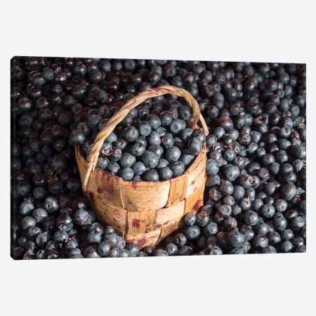 Blueberries At Market For Sale, Helsinki, Finland Canvas Print #PIM14290} by Panoramic Images Canvas Artwork