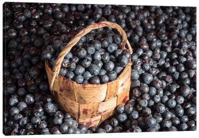 Blueberries At Market For Sale, Helsinki, Finland Canvas Art Print - Food & Drink Still Life