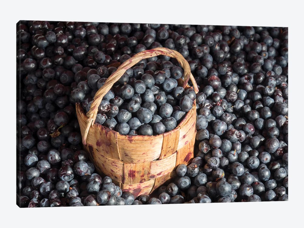 Blueberries At Market For Sale, Helsinki, Finland by Panoramic Images 1-piece Canvas Art