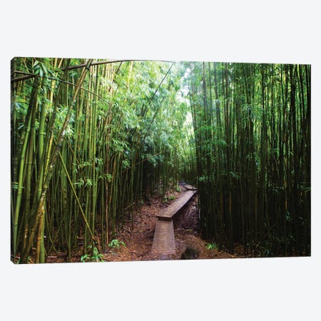 Boardwalk Through Bamboo, Pipiwai Trail, Hakeakala National Park, Kipahulu, Hana Road, Maui, Hawaii, USA II Canvas Print #PIM14293} by Panoramic Images Canvas Artwork