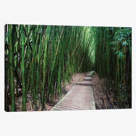 Boardwalk Through Bamboo, Pipiwai Trail, Hakeakala National Park, Kipahulu, Hana Road, Maui, Hawaii, USA V Canvas Print #PIM14296} by Panoramic Images Canvas Print