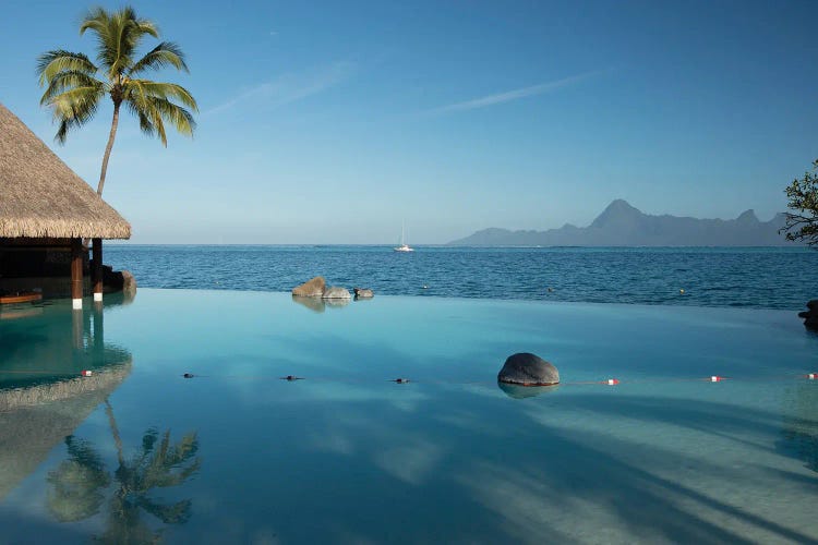 Bungalows And Palm Trees On The Coast, Bora Bora, Society Islands, French Polynesia