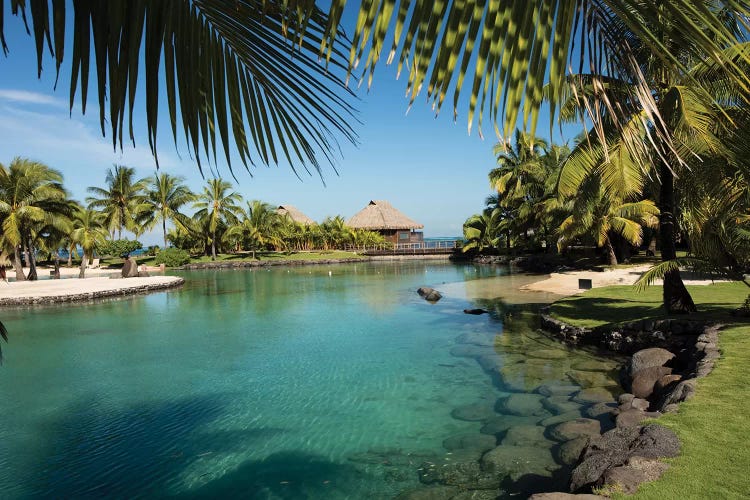 Bungalows And Palm Trees On The Coast, Moorea, Tahiti, French Polynesia