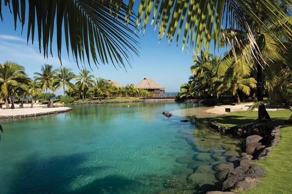 French Polynesia: Bungalows And Palm Trees On The Coast, Moorea, Tahiti, French Polynesia by Panoramic Images