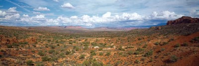 Bushes In A Desert, Arches National Park, Utah, USA by Panoramic Images canvas print