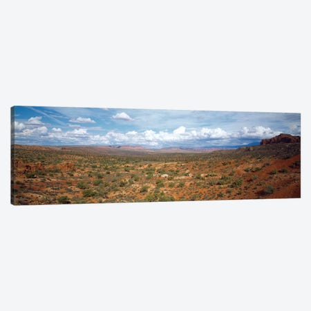Bushes In A Desert, Arches National Park, Utah, USA Canvas Print #PIM14324} by Panoramic Images Canvas Art Print