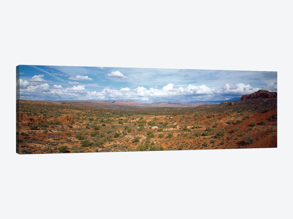 Bushes In A Desert, Arches National Park, Utah, USA by Panoramic Images 1-piece Canvas Wall Art
