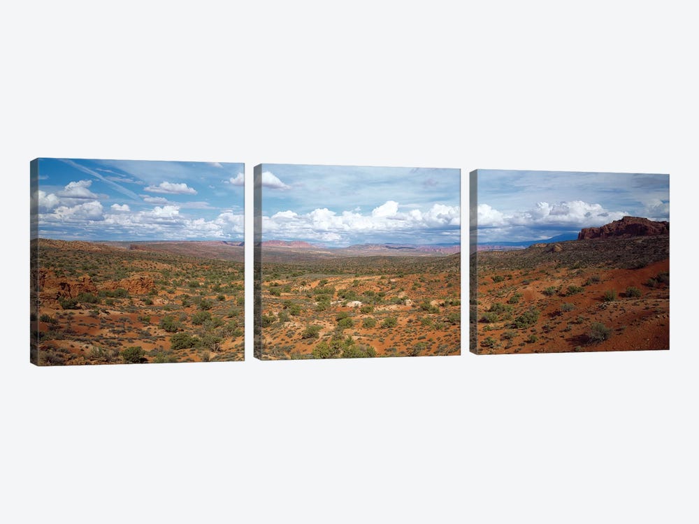 Bushes In A Desert, Arches National Park, Utah, USA by Panoramic Images 3-piece Canvas Artwork