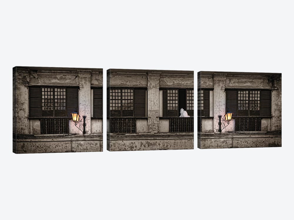 Cat Sitting On Window Sill Of Building, Vigan, Ilocos Sur, Philippines, Day by Panoramic Images 3-piece Canvas Art Print