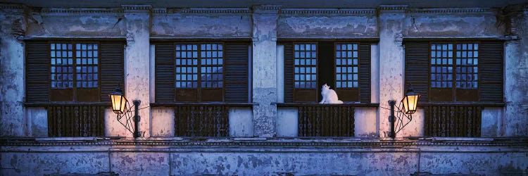 Cat Sitting On Window Sill Of Building, Vigan, Ilocos Sur, Philippines, Night by Panoramic Images wall art