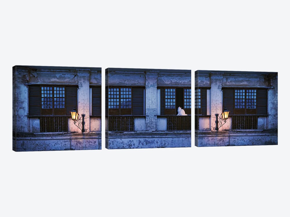 Cat Sitting On Window Sill Of Building, Vigan, Ilocos Sur, Philippines, Night by Panoramic Images 3-piece Canvas Wall Art