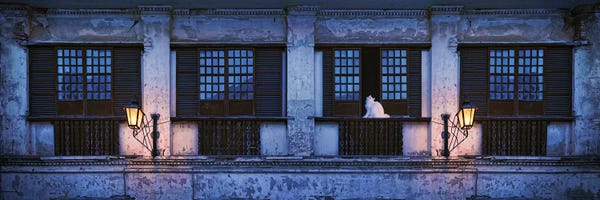 Cat Sitting On Window Sill Of Building, Vigan, Ilocos Sur, Philippines, Night