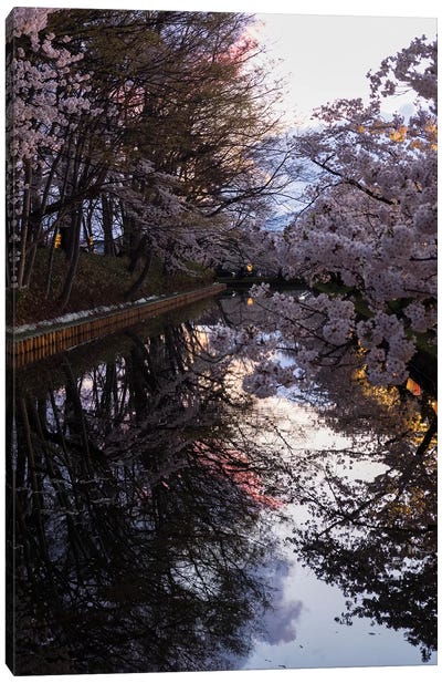 Cherry Blossoms Reflected In Outer Moat, Hirosaki Park, Hirosaki, Aomori Prefecture, Japan Canvas Art Print - Blossom Art