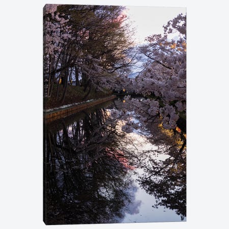 Cherry Blossoms Reflected In Outer Moat, Hirosaki Park, Hirosaki, Aomori Prefecture, Japan Canvas Print #PIM14341} by Panoramic Images Canvas Artwork