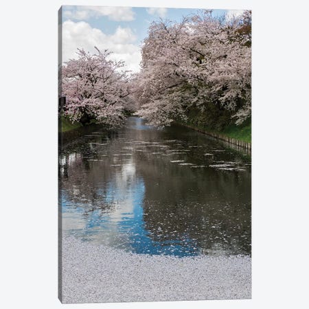 Cherry Trees And Blossoms Reflected In Outer Moat Of Hirosaki Park, Hirosaki, Aomori Prefecture, Japan Canvas Print #PIM14344} by Panoramic Images Canvas Print