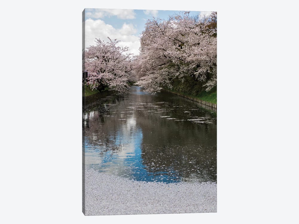 Cherry Trees And Blossoms Reflected In Outer Moat Of Hirosaki Park, Hirosaki, Aomori Prefecture, Japan by Panoramic Images 1-piece Canvas Artwork