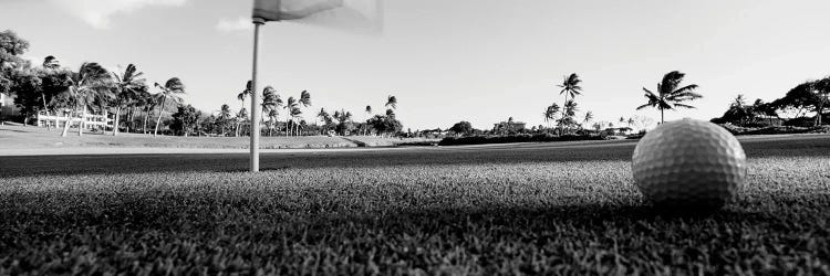 Close Up Of Golf Ball And Hole, Hawaii, USA (Black And White)