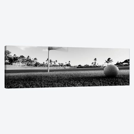Close Up Of Golf Ball And Hole, Hawaii, USA (Black And White) Canvas Print #PIM14350} by Panoramic Images Art Print
