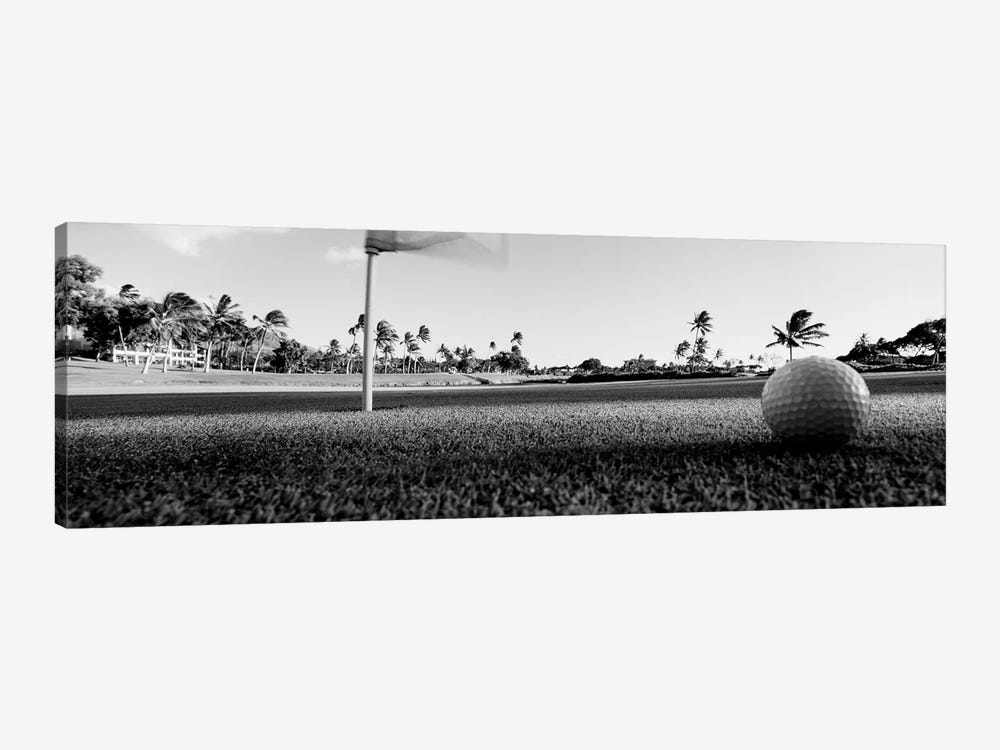 Close Up Of Golf Ball And Hole, Hawaii, USA (Black And White) by Panoramic Images 1-piece Art Print