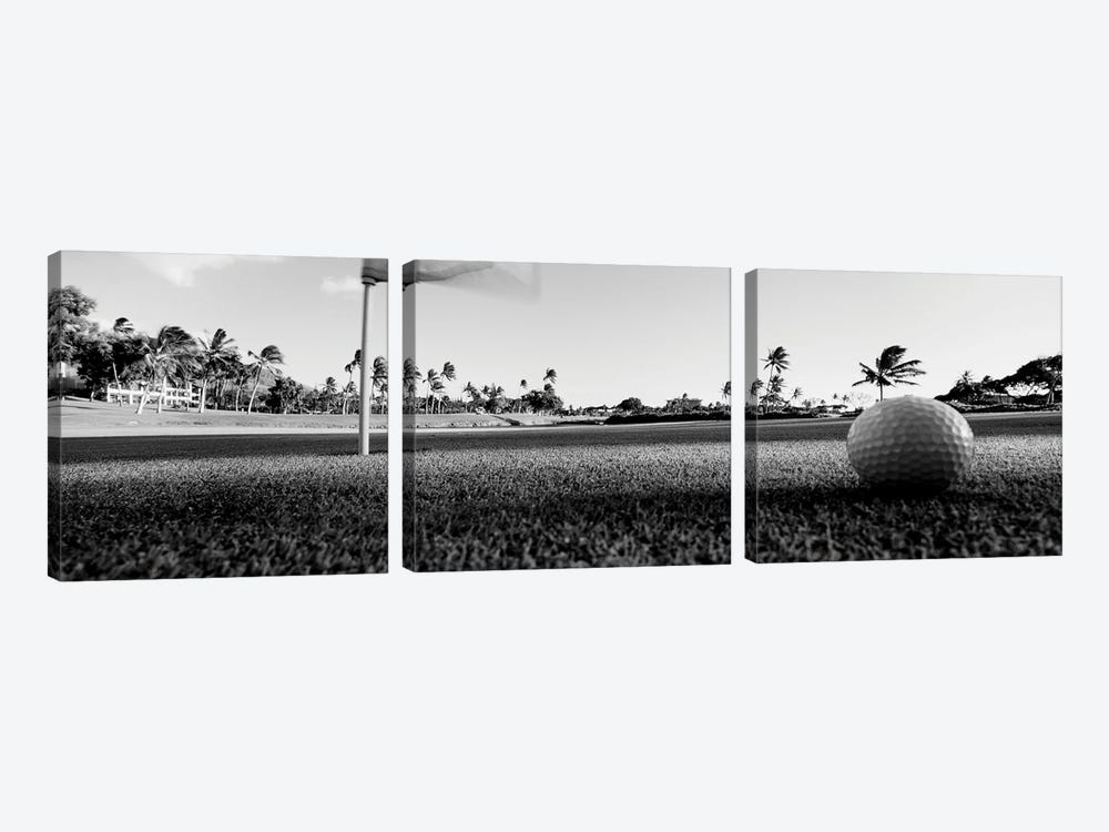 Close Up Of Golf Ball And Hole, Hawaii, USA (Black And White) by Panoramic Images 3-piece Canvas Print