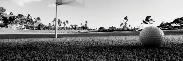 Golf Courses: Close Up Of Golf Ball And Hole, Hawaii, USA (Black And White) by Panoramic Images