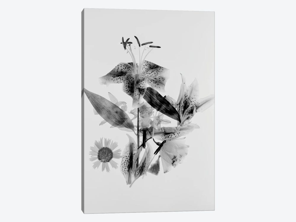 Close-Up Abstract Of Flower Arrangement by Panoramic Images 1-piece Canvas Artwork