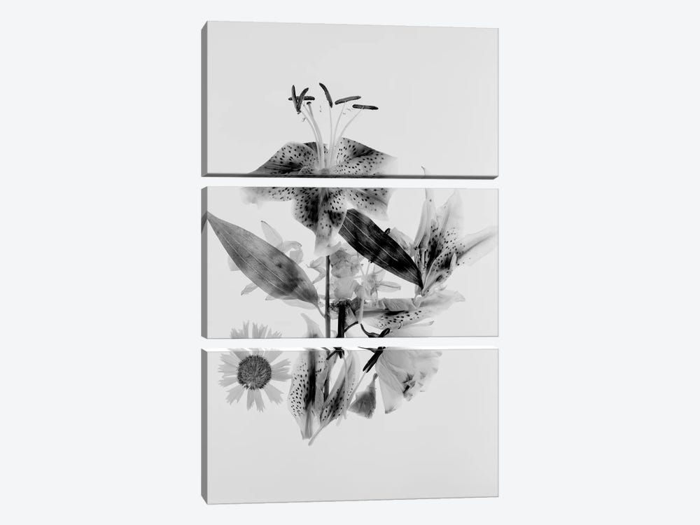Close-Up Abstract Of Flower Arrangement by Panoramic Images 3-piece Canvas Art