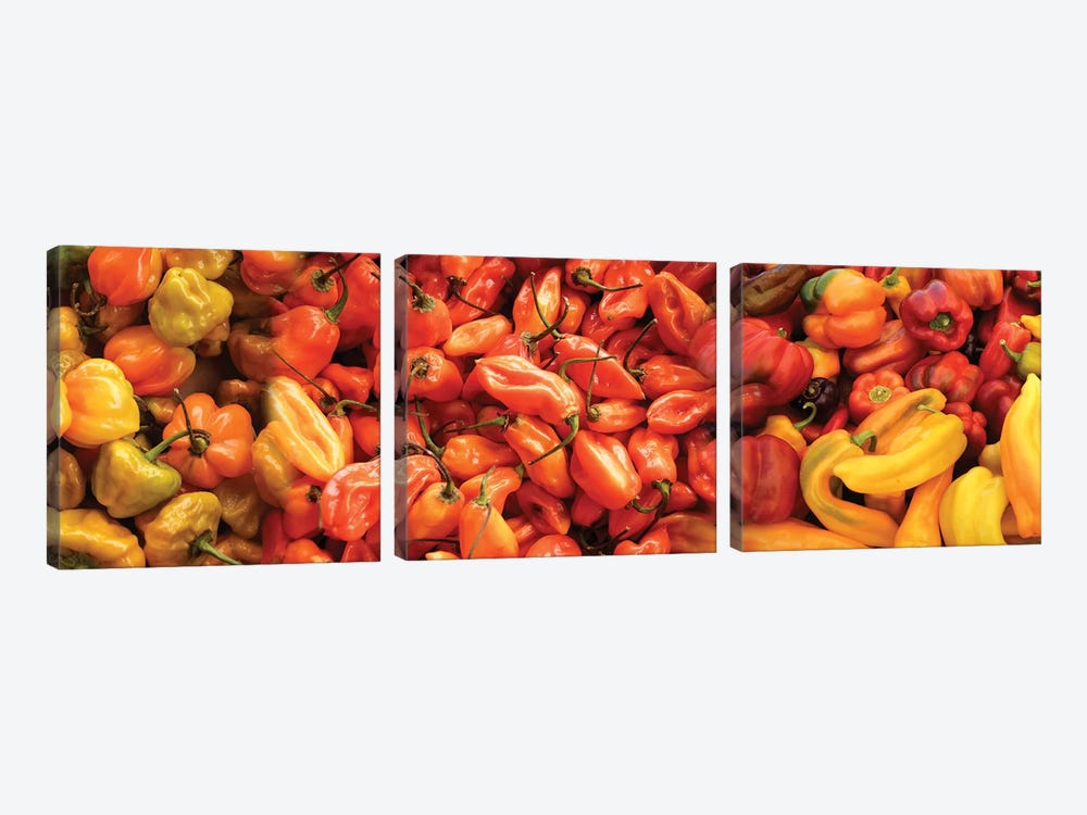 Close-Up Of Assorted Pepper For Sale At Market II by Panoramic Images 3-piece Art Print