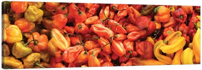 Close-Up Of Assorted Pepper For Sale At Market II Canvas Art Print - Gardening Art