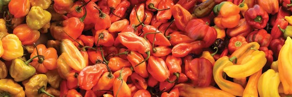 Gardening: Close-Up Of Assorted Pepper For Sale At Market II by Panoramic Images