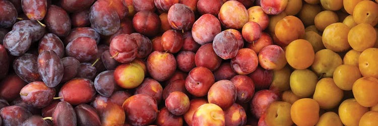 Close-Up Of Assorted Plums For Sale